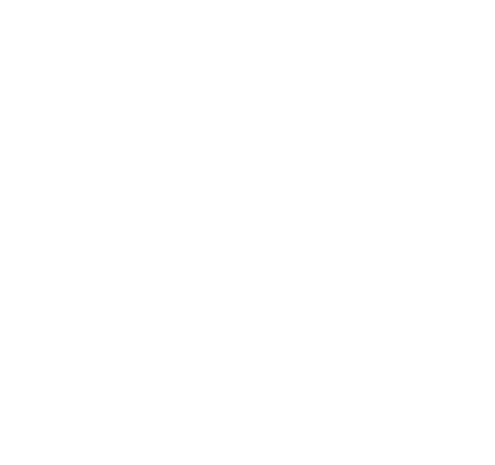 SMART AUYL